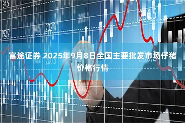 富途证券 2025年9月8日全国主要批发市场仔猪价格行情
