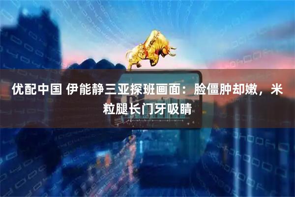 优配中国 伊能静三亚探班画面：脸僵肿却嫩，米粒腿长门牙吸睛