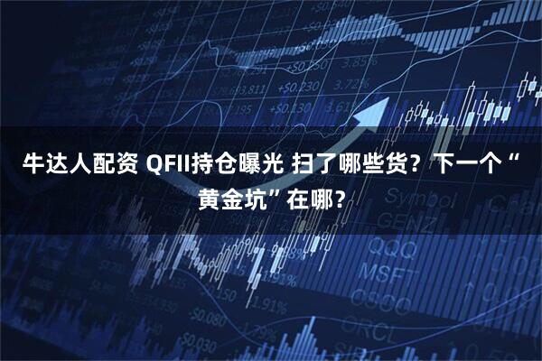 牛达人配资 QFII持仓曝光 扫了哪些货？下一个“黄金坑”在哪？