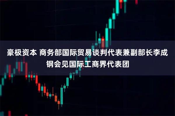 豪极资本 商务部国际贸易谈判代表兼副部长李成钢会见国际工商界代表团