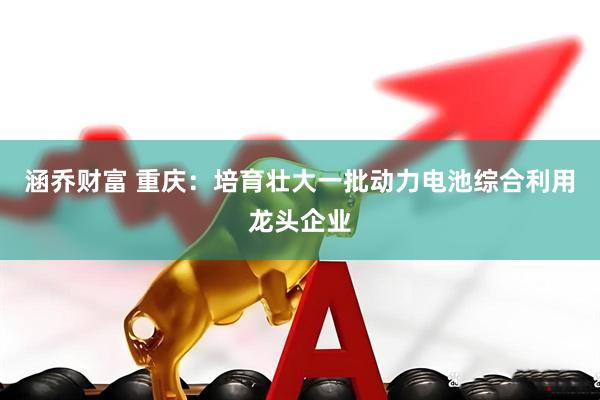 涵乔财富 重庆：培育壮大一批动力电池综合利用龙头企业