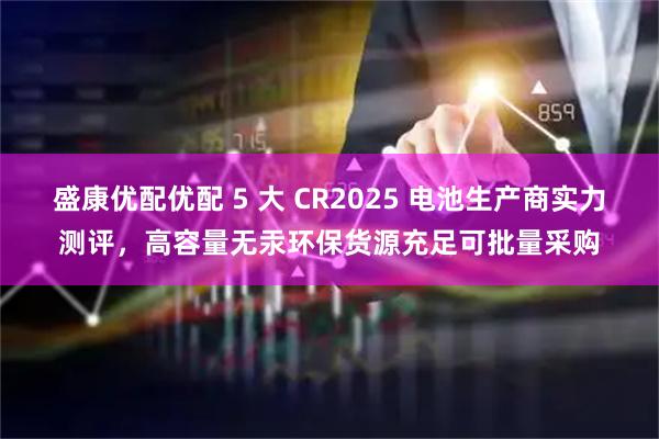 盛康优配优配 5 大 CR2025 电池生产商实力测评，高容量无汞环保货源充足可批量采购