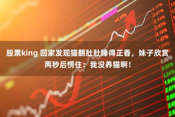股票king 回家发现猫翻肚肚睡得正香，妹子欣赏两秒后愣住：我没养猫啊！