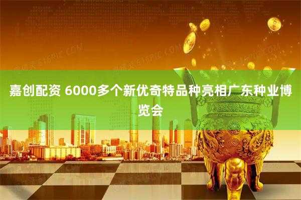 嘉创配资 6000多个新优奇特品种亮相广东种业博览会